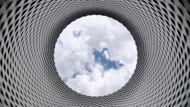 simpcitt net worth unclear
