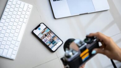 connecting digital creators online