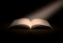 exploring erotic literature genres