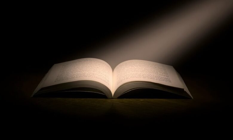 exploring erotic literature genres