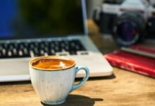 exploring online culture dynamics
