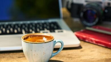 exploring online culture dynamics