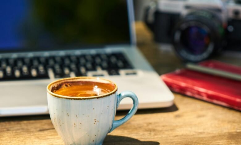 exploring online culture dynamics